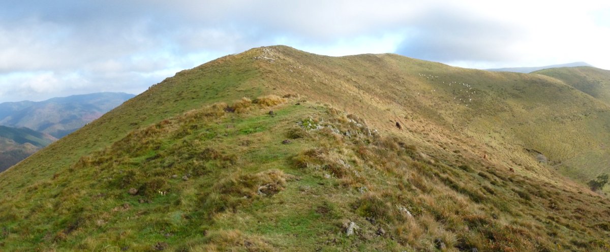 Amamoneko Bizkarreko gailurra