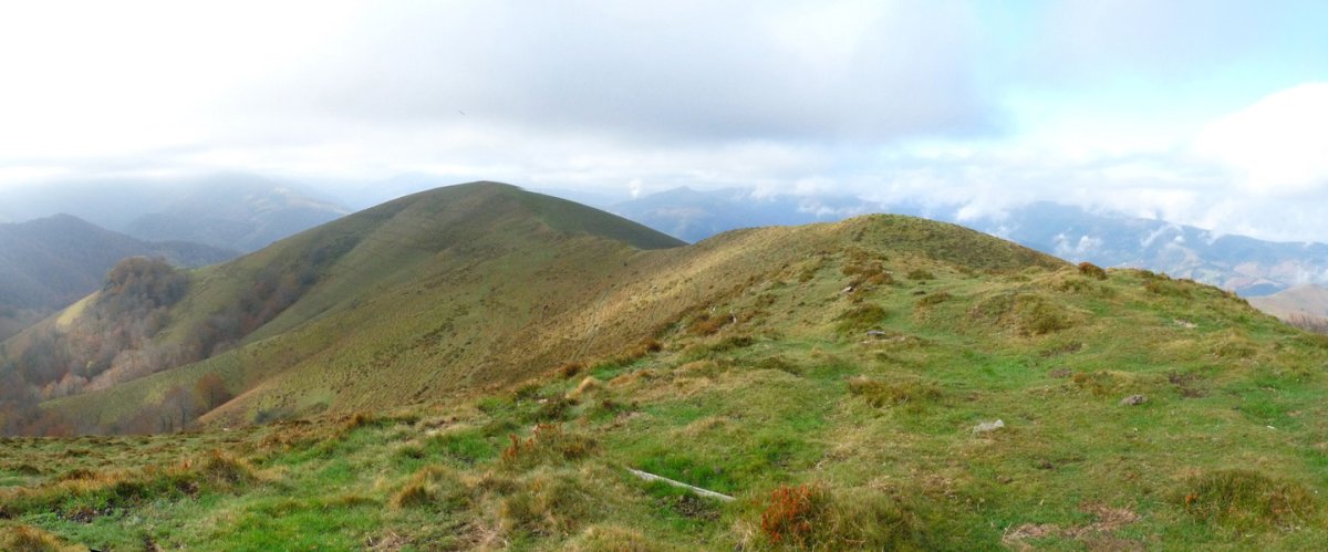 Amamoneko Bizkarreko gailurra