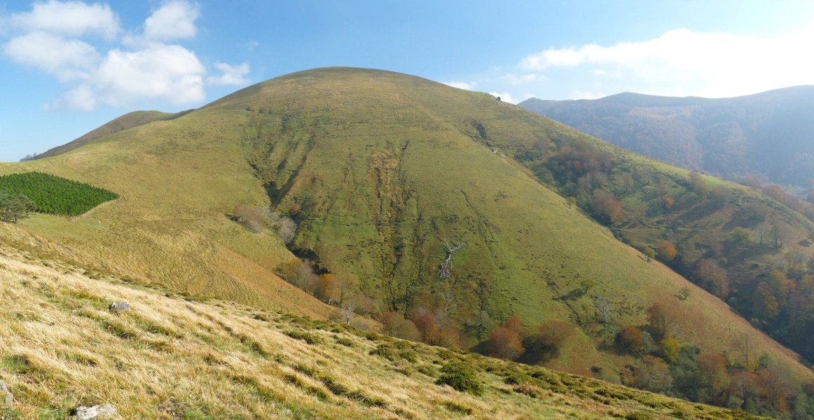 Mendibillako bizkar erraldoia