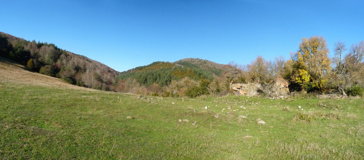 Arreseko bordaren hondakinak, Olbideako lepoan