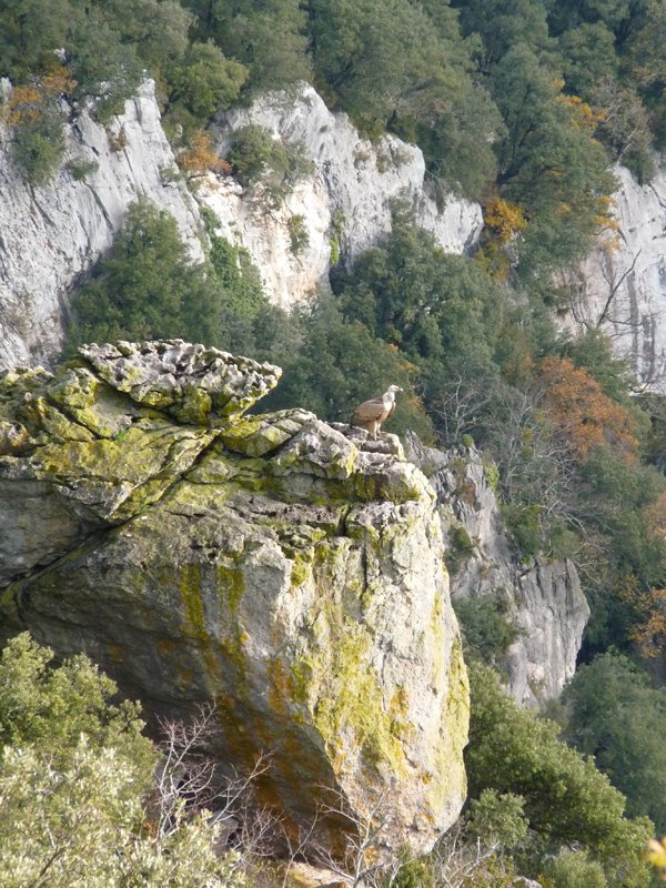 Putrea Iñarbeko arroilean