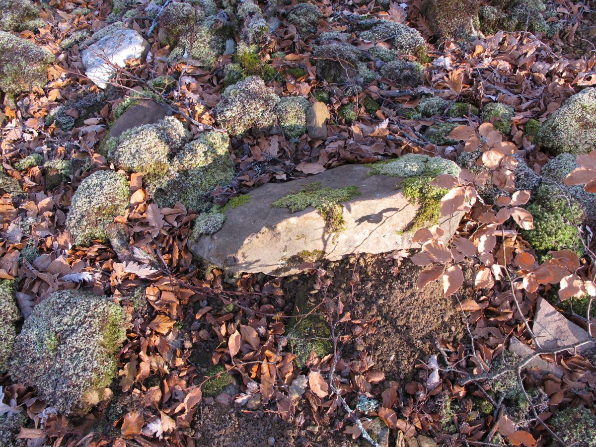 AIANTSORO 3 mendebal