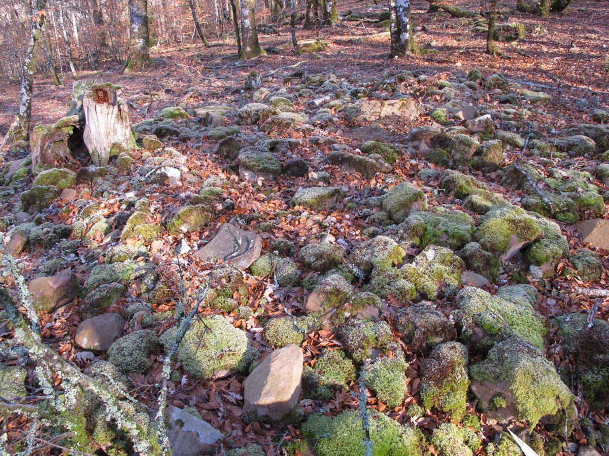 AIANTSORO 3 mendebal