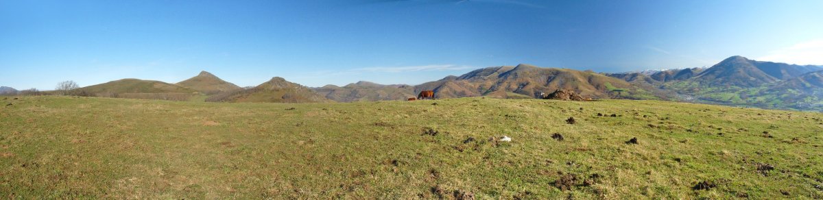 Larroko gailur zabala