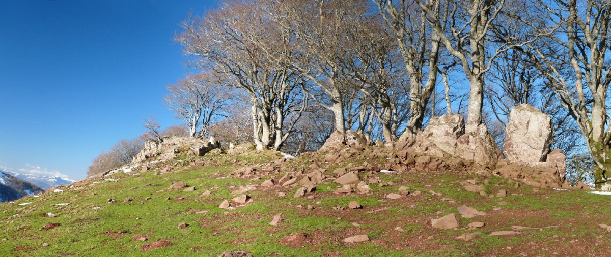 Olateko gandorra, harria nagusitzen hasten da