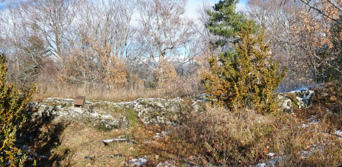 San Quiricoko txartelontzia