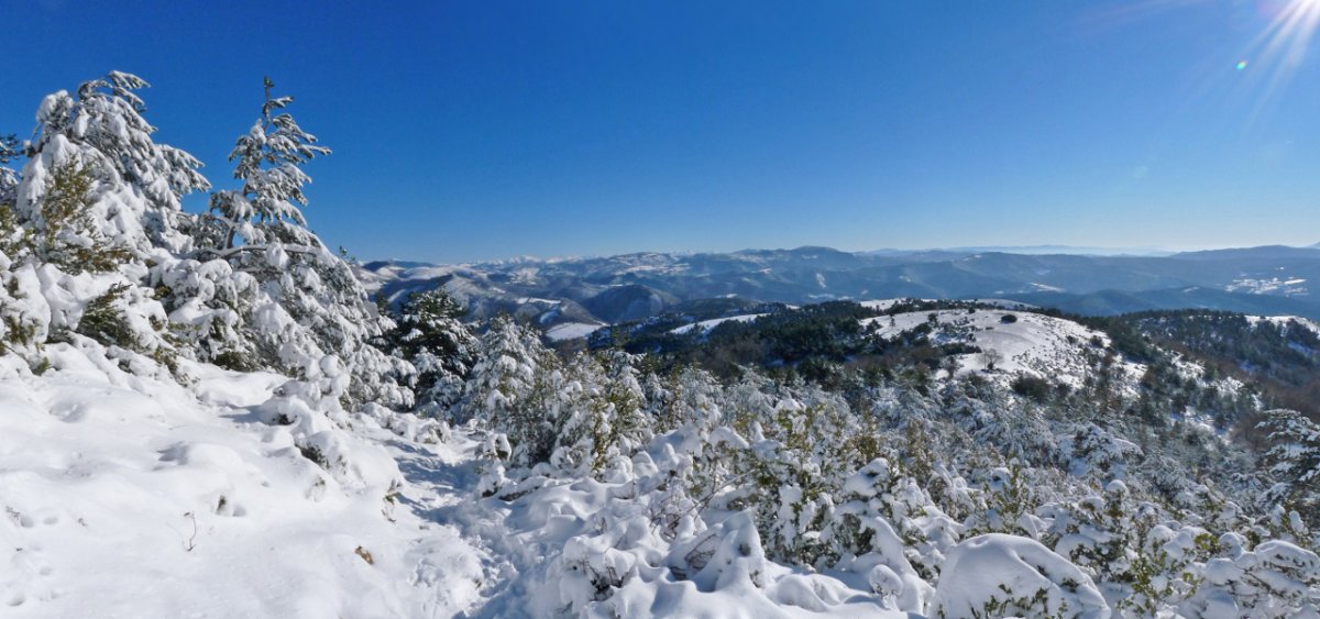 Baratxuetako ekialdeko bizkarrean gora