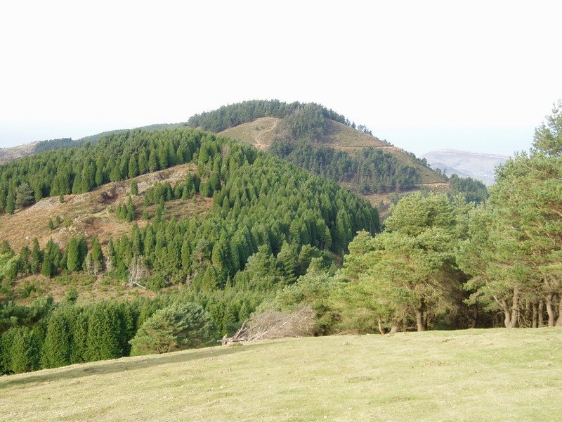 Picomenor eta Picomayor hego-ekialdetik ikusita