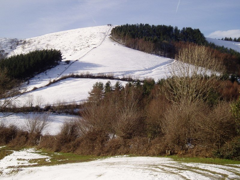 Ipar-ekialdetik ikusita