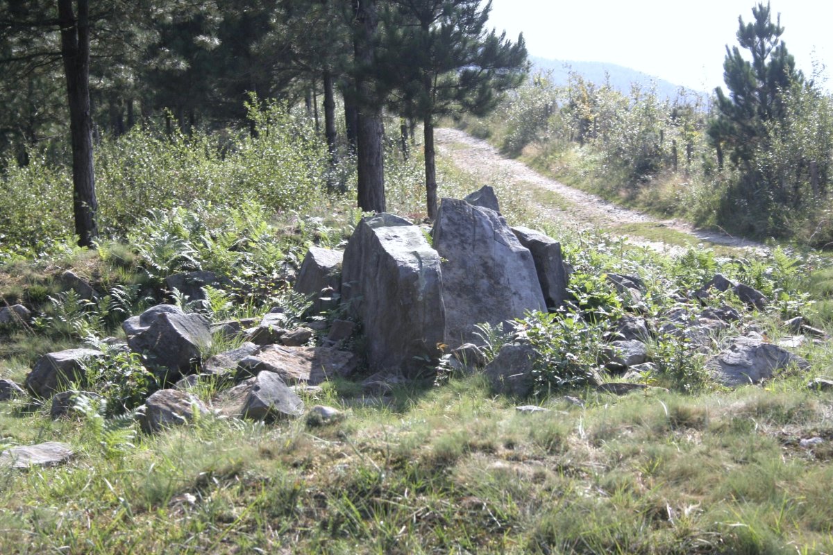 DOLMEN  VENTA  DE  ZARATE