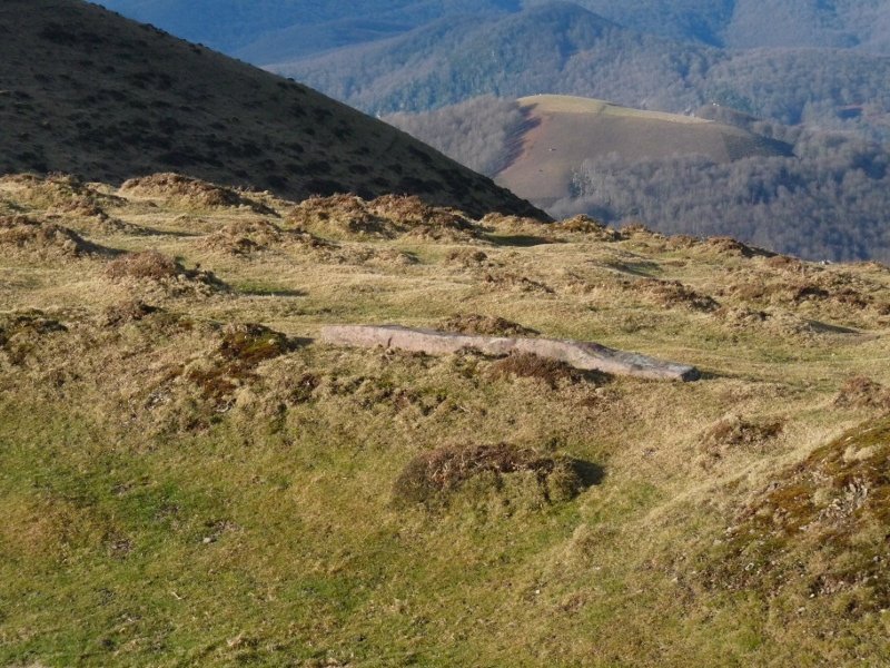 Aitzalegiko zutarria