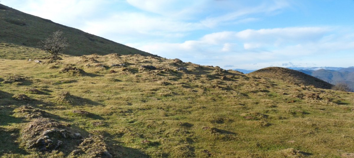 Pikuda sur/ Katillegiko lepoa hego II