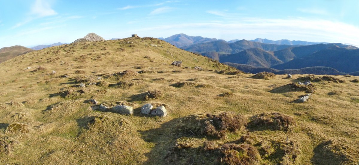 Katillegiko lepoa hego