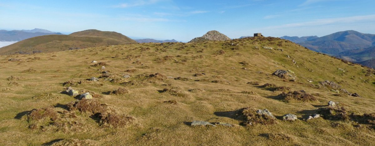 Katillegiko lepoa hego