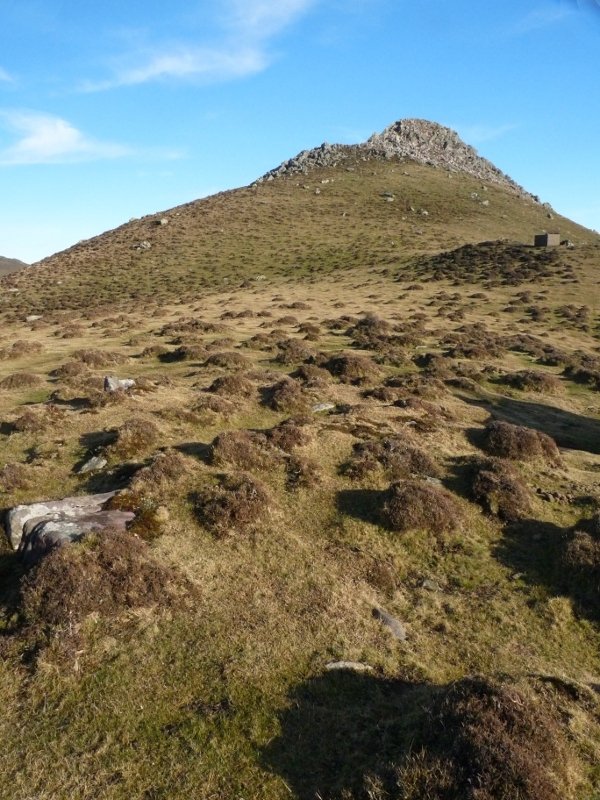 Katillegiko lepoko trikuharria