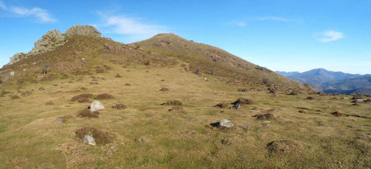 Gorospilgo lepoko harrespilak