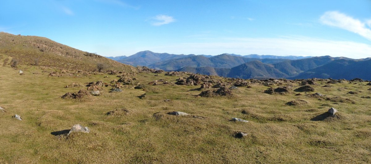 Gorospilgo lepoko harrespilak