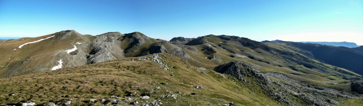 Tontorretik Ikuspegia