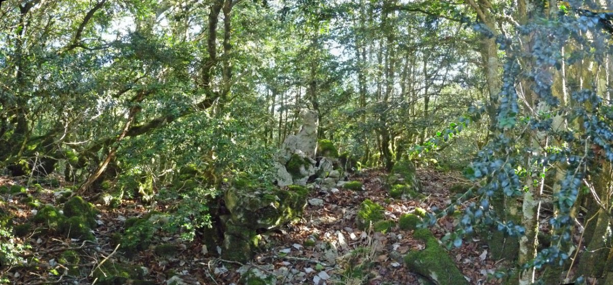 Illarbeltzeko gailur ezkutua