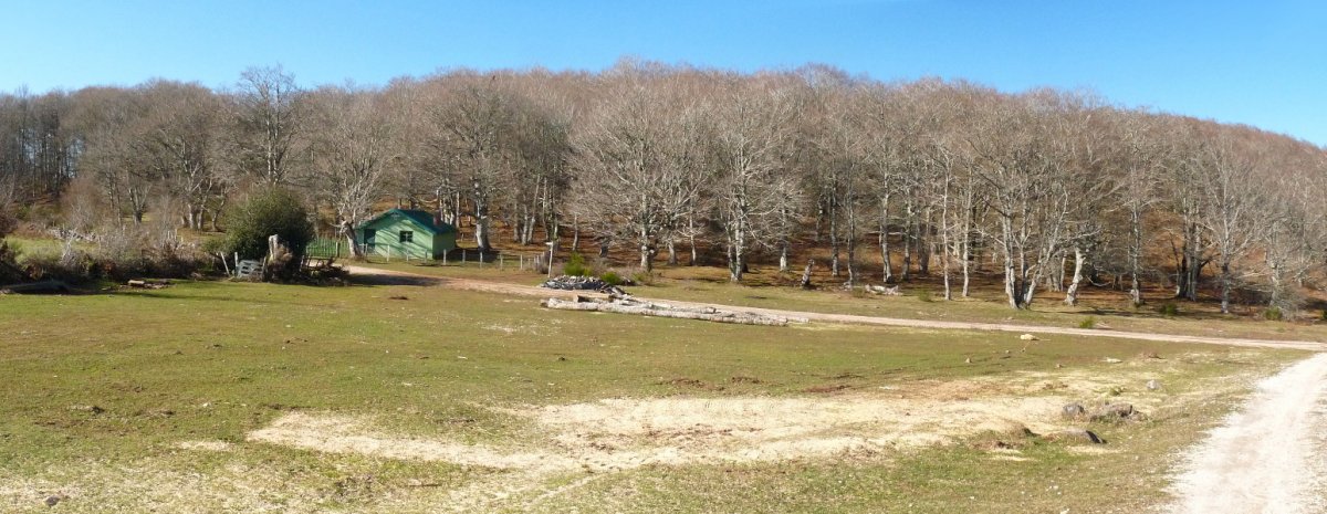 Arpeikuko lepoa eta Ehiztarien Etxola