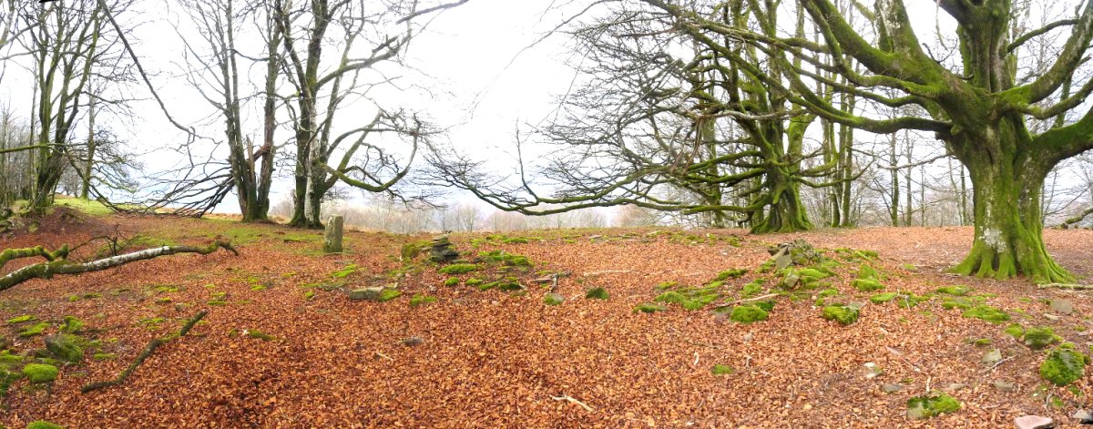 Urruxkako gailurra, 115. mugarriarekin