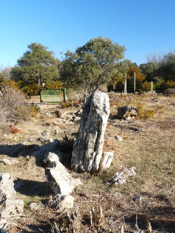 Induriagako zutarria