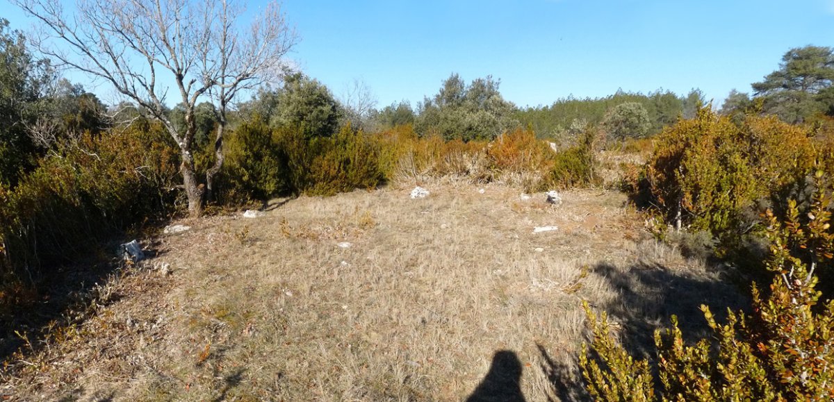 Induriaga 3 harrespila