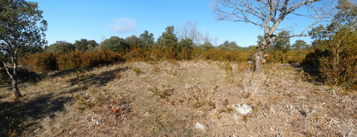 Induriaga 3 harrespila