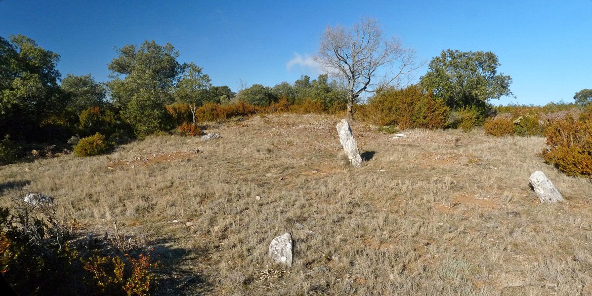 Induriaga 5 harrespila