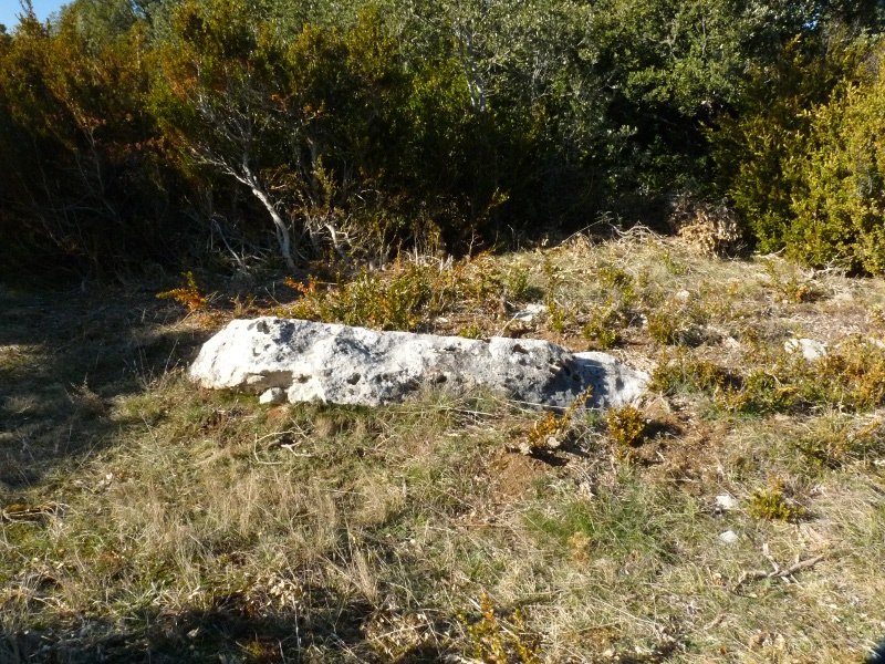 Oihanzabaleako zutarria