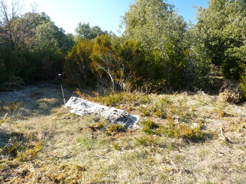 Oihanzabaleako zutarria