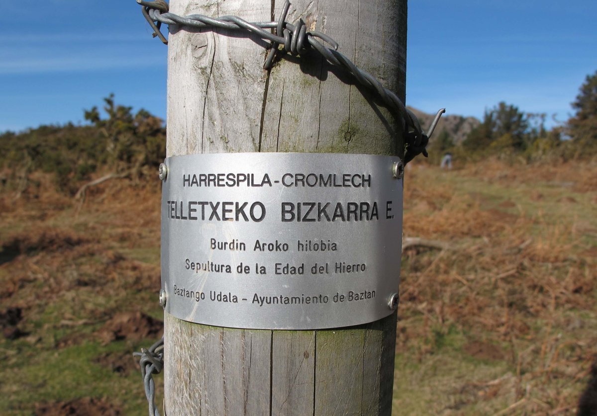 TELLETXEKO BIZKAR EKIALDE