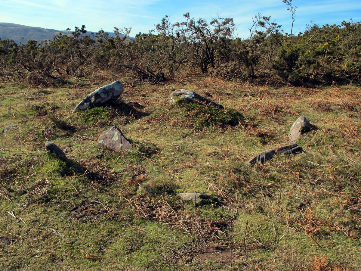 TELLETXEKO BIZKAR EKIALDE