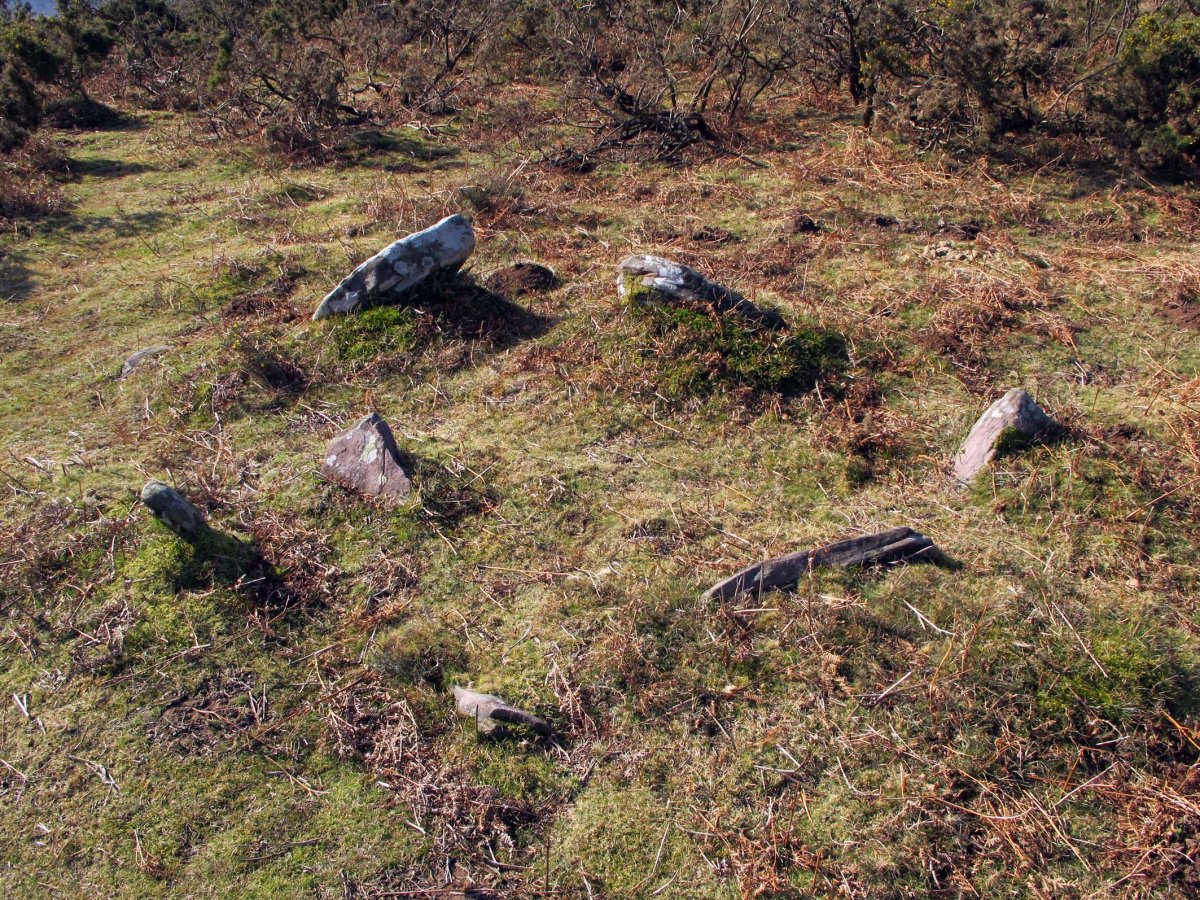 TELLETXEKO BIZKAR EKIALDE