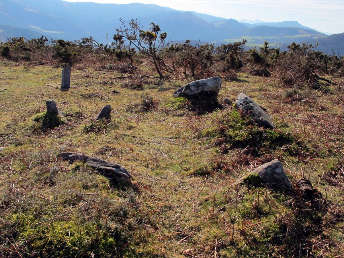 TELLETXEKO BIZKAR EKIALDE