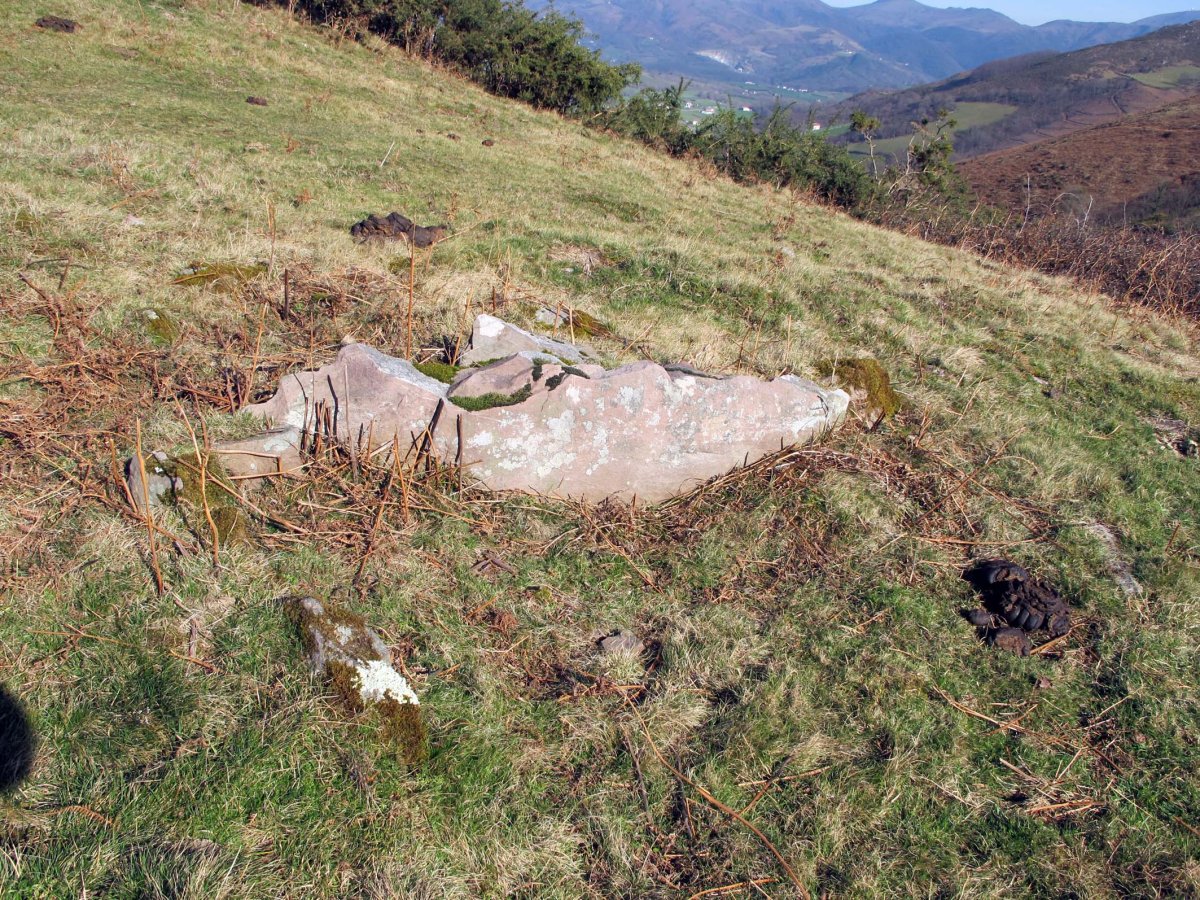 ETXEBERRIKO ARDIBORDA