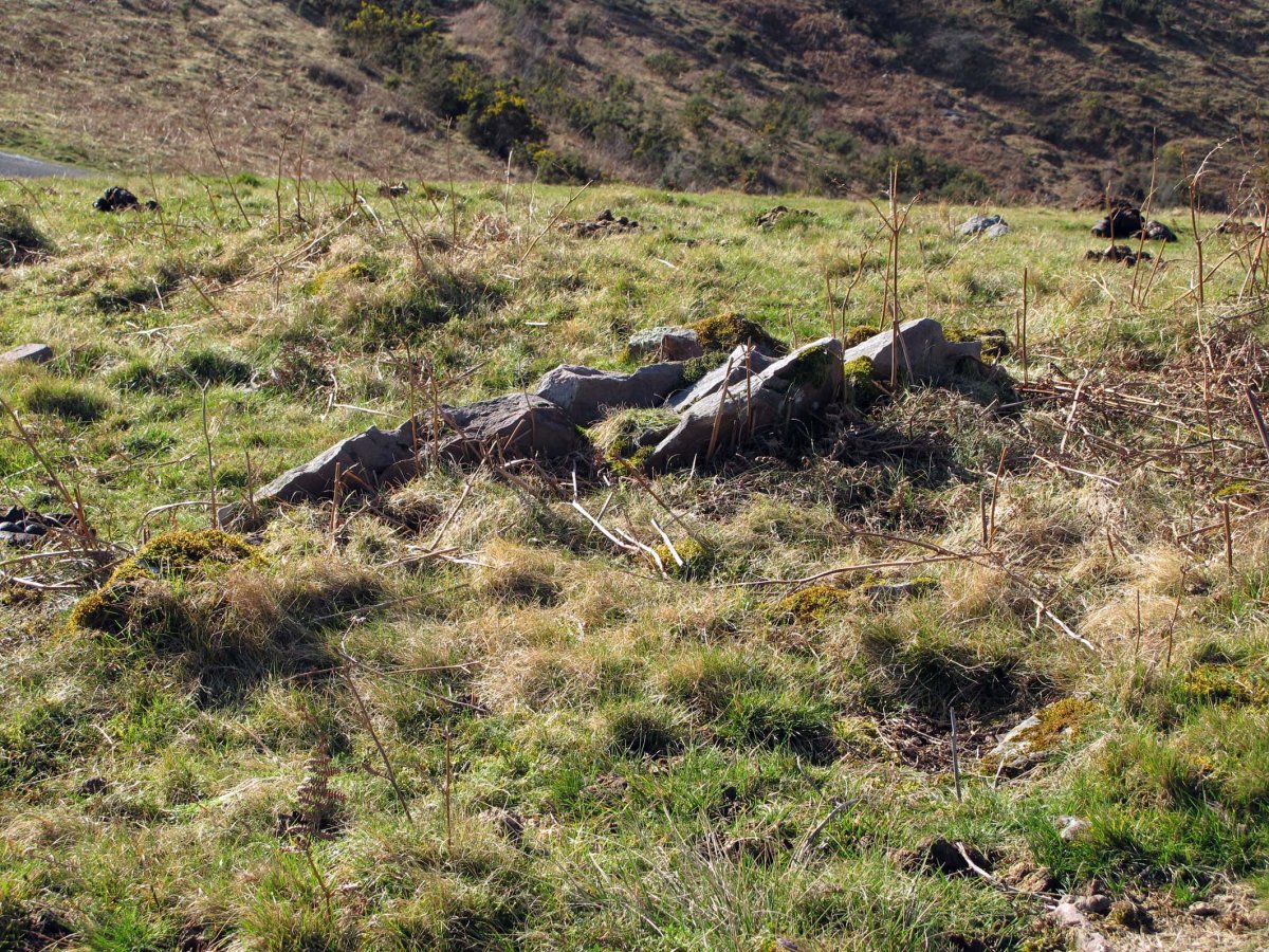 ETXEBERRIKO ARDIBORDA