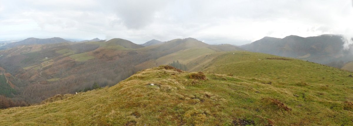 Meatzetako Bizkarra edo Artzixuri