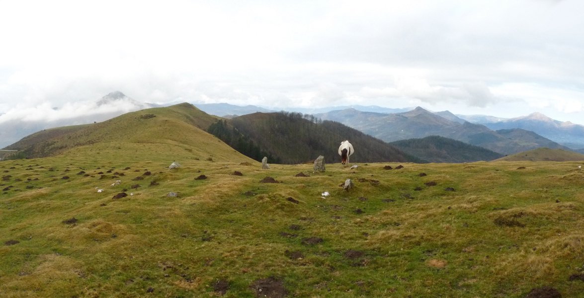 Aizalegiko harrespila eta Meatzetako bizkarra