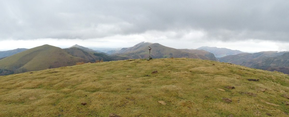 Antsestegiko gailurra -txartelontziak Lizartzu adierazten badu ere