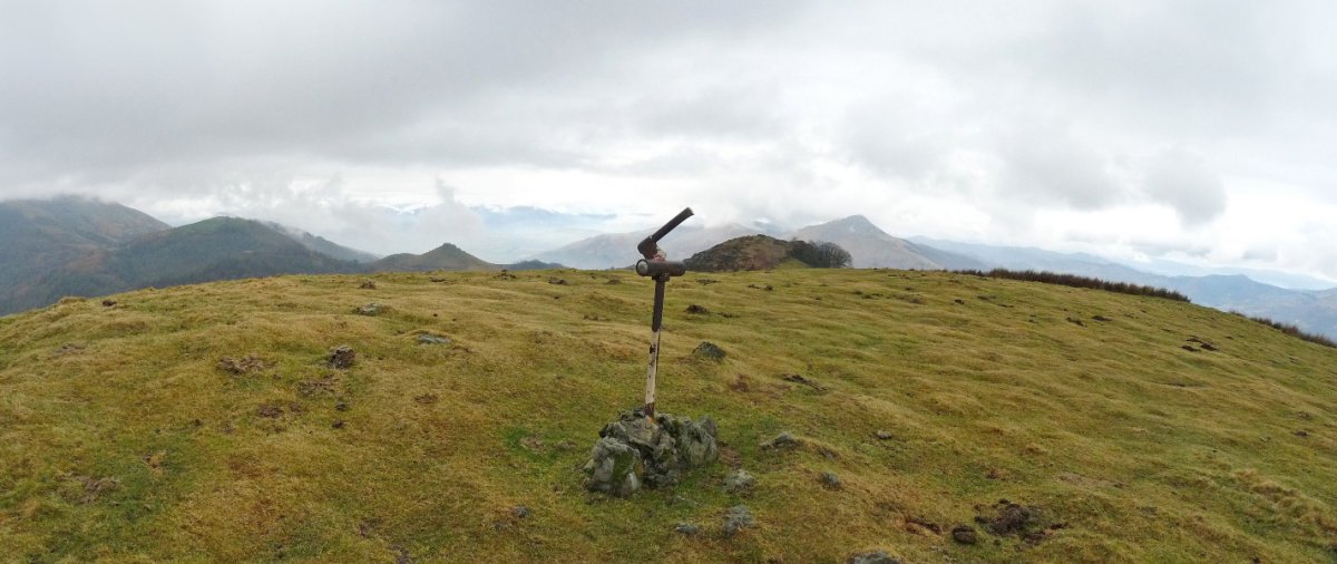 Antsestegiko gailurra -txartelontziak Lizartzu adierazten badu ere