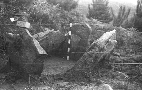 Jesus Elosegiren argazkia