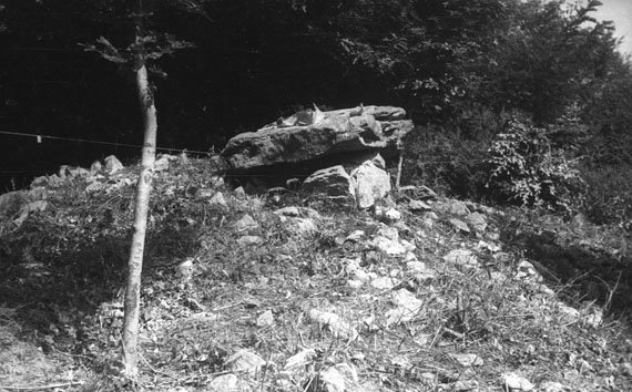 Jesus Elosegiren argazkia