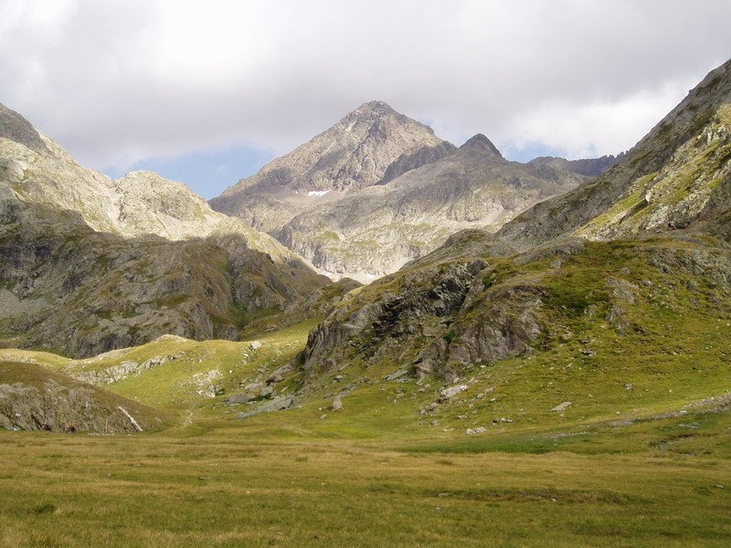 Campoplanotik ikusita