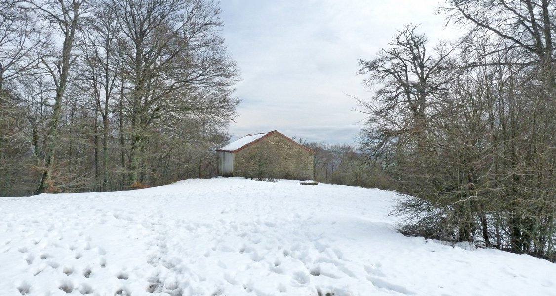 San Migelgo baseliza