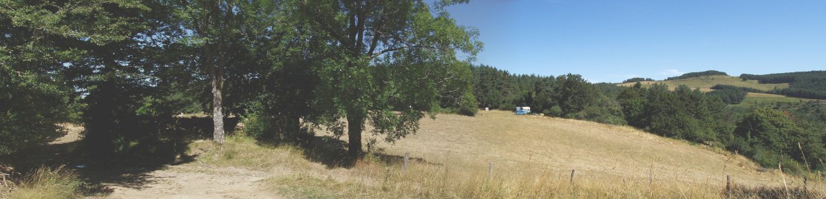 Santa Kruzeko ermitaren hondakinak, zuhaitzen artean