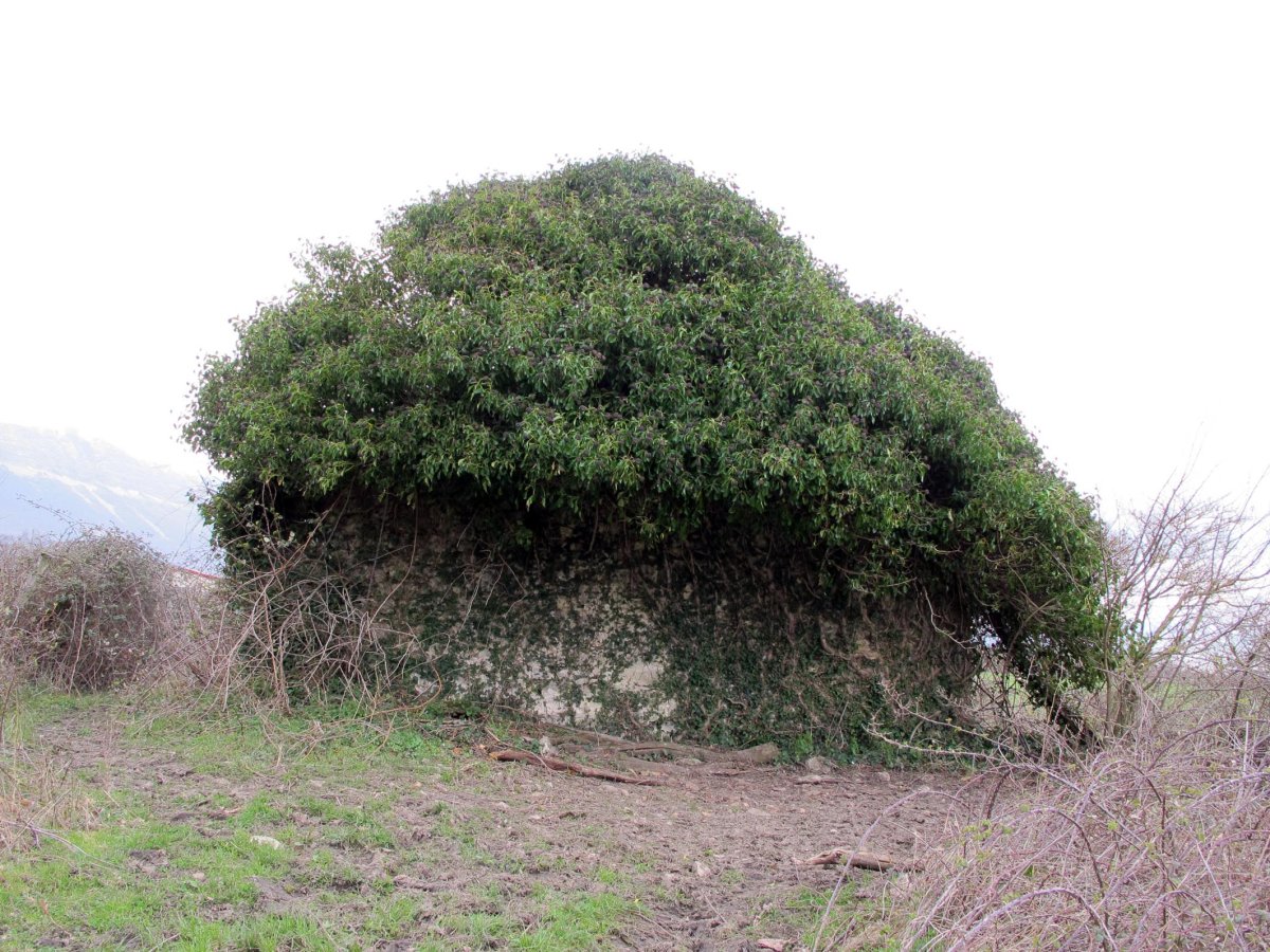 San Pedro Martir ermita Irañetan