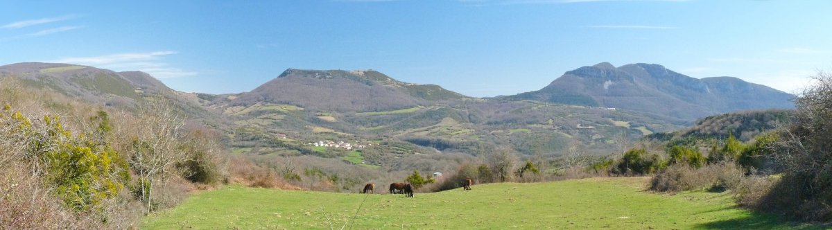 Artziko mendien ikuspegia Oihanbizkarretik