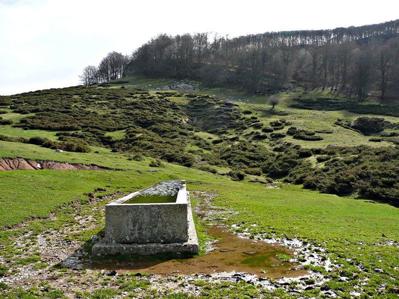 Aska Tontor Azpian.Atzean,Eulatz