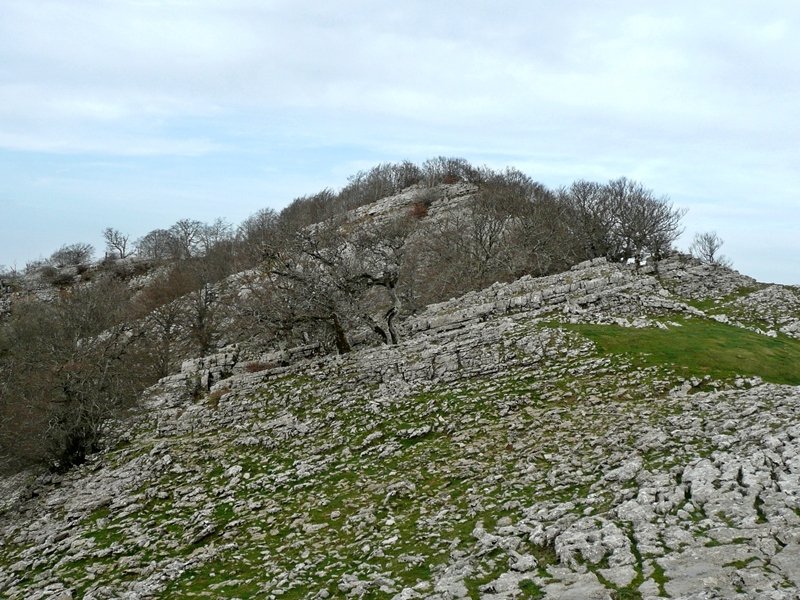 Txorrotxeta Ingurutik